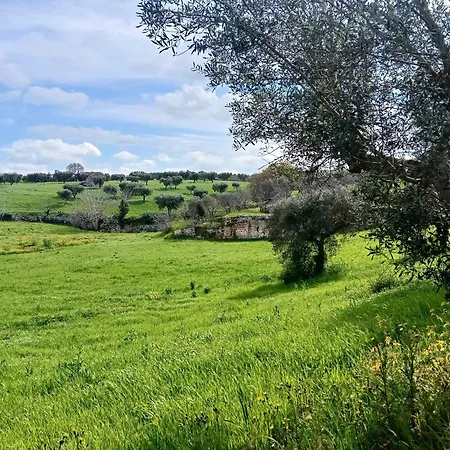 Masseria Camerlengo Vakantieboerderij Castellana Grotte